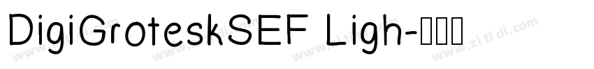 DigiGroteskSEF Ligh字体转换